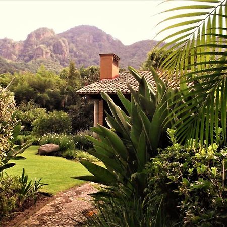 Hotel Arete (Adults Only) Tepoztlán Exteriér fotografie