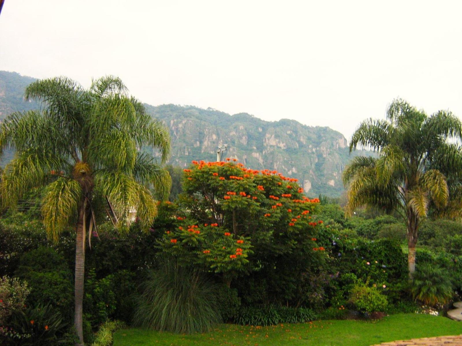 Hotel Arete (Adults Only) Tepoztlán Exteriér fotografie